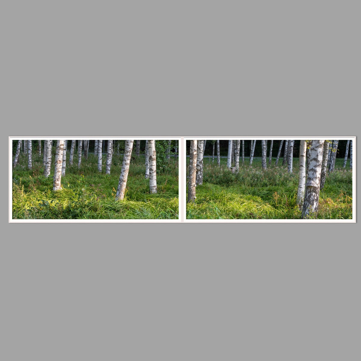 LED-Wandbild Zweiteiler quer 240x60 cm – Wald