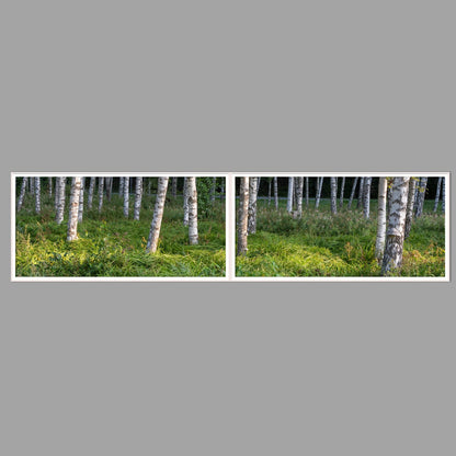 LED-Wandbild Zweiteiler quer 240x60 cm – Wald