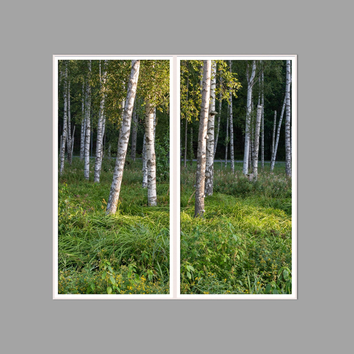 LED-Wandbild Zweiteiler hochkant 120x120 cm – Wald