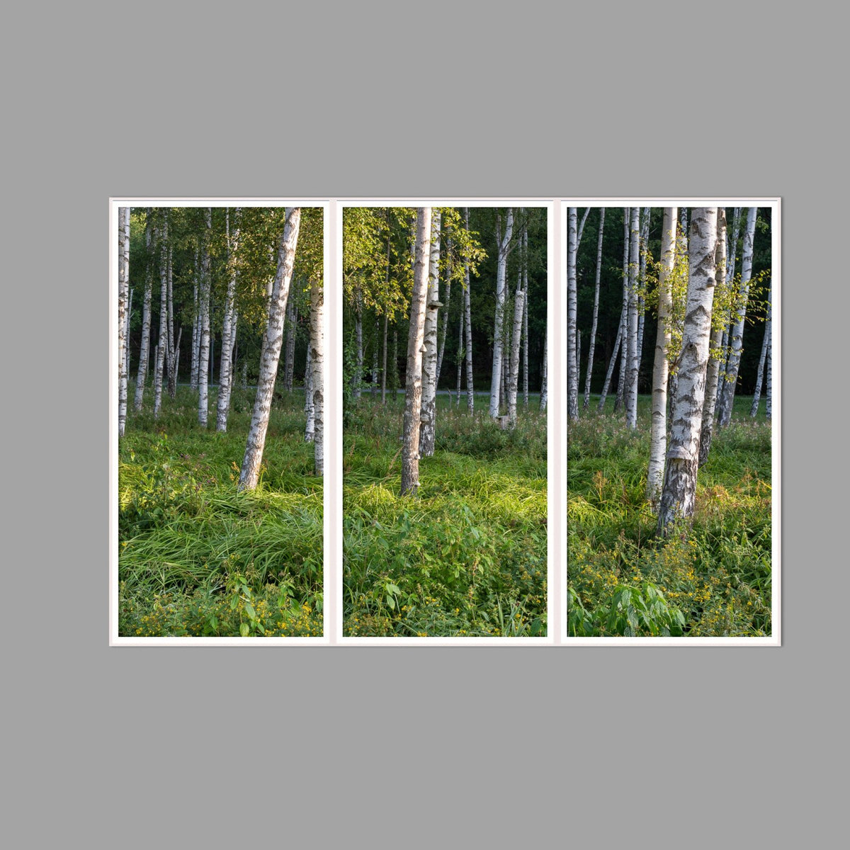 LED-Wandbild Dreiteiler hochkant 180x120 cm – Wald
