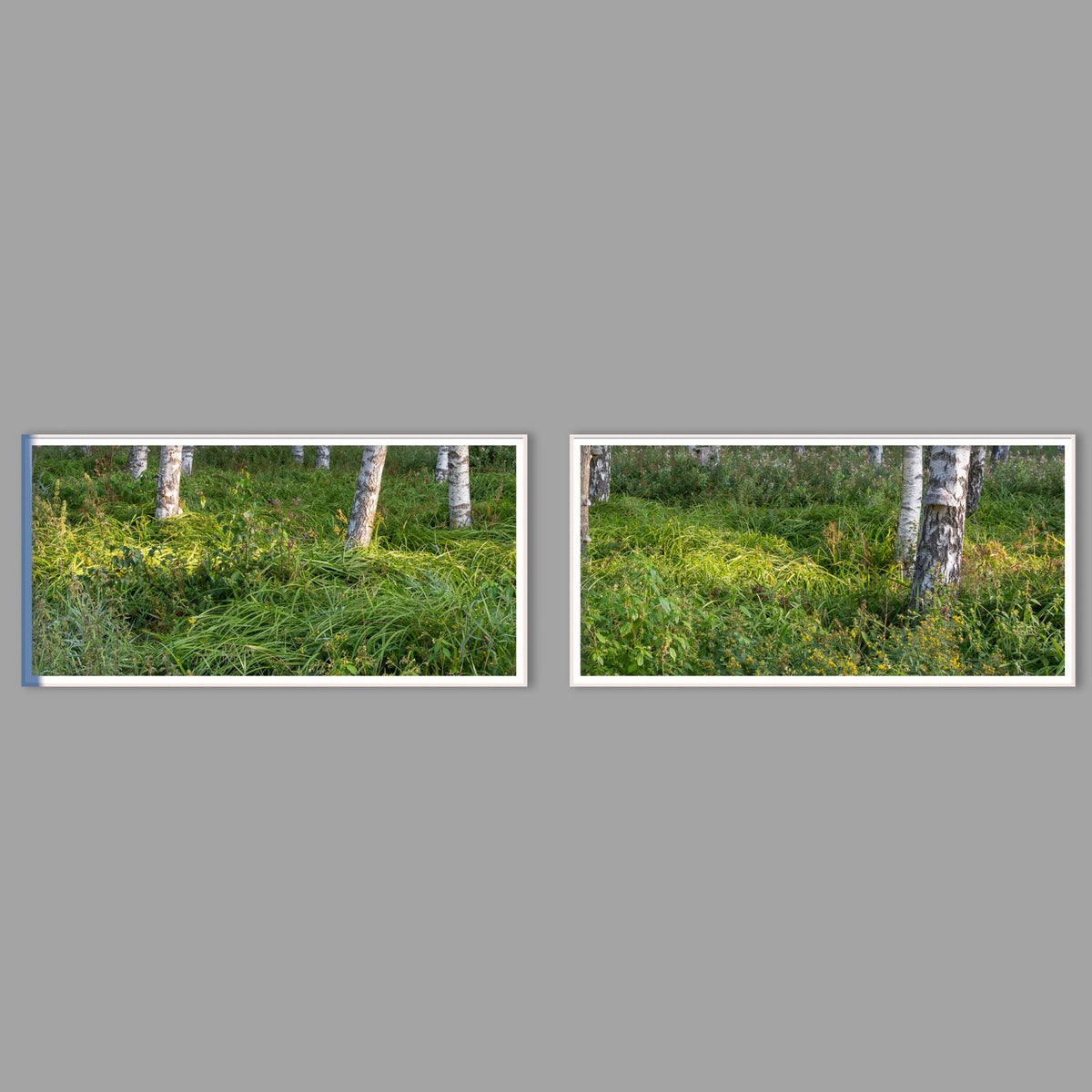 LED-Wandbild Zweiteiler quer mit Abstand – Wald