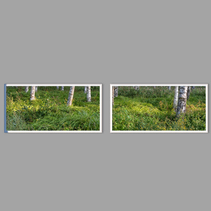 LED-Wandbild Zweiteiler quer mit Abstand – Wald