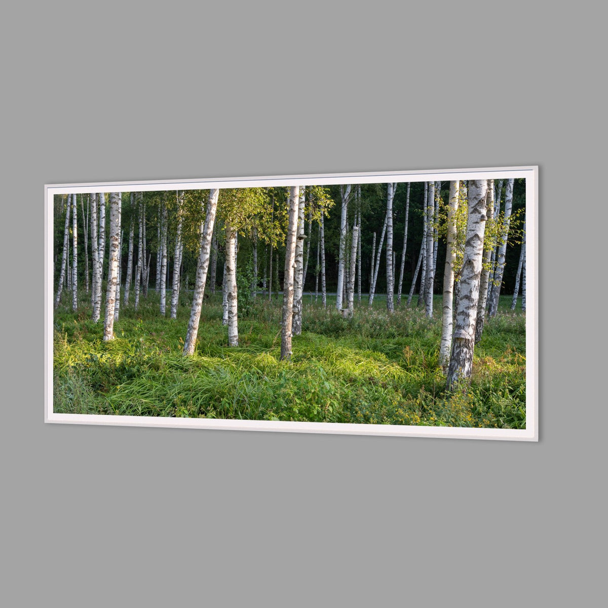 LED-Wandbild 60x120 cm quer – Wald