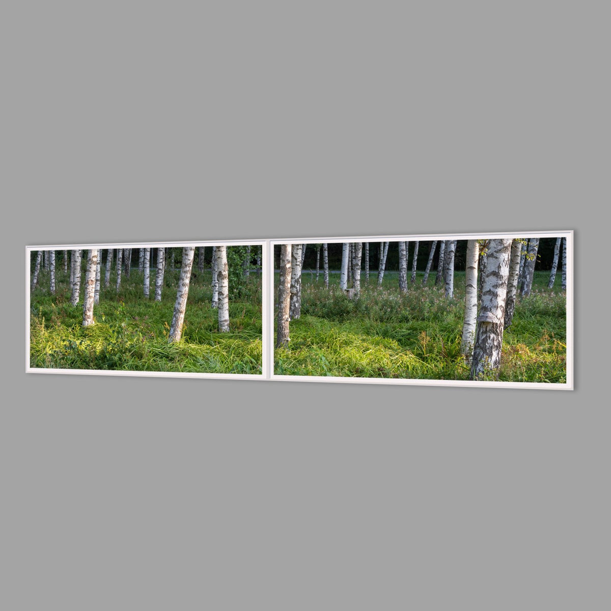 LED-Wandbild Zweiteiler quer 240x60 cm – Wald