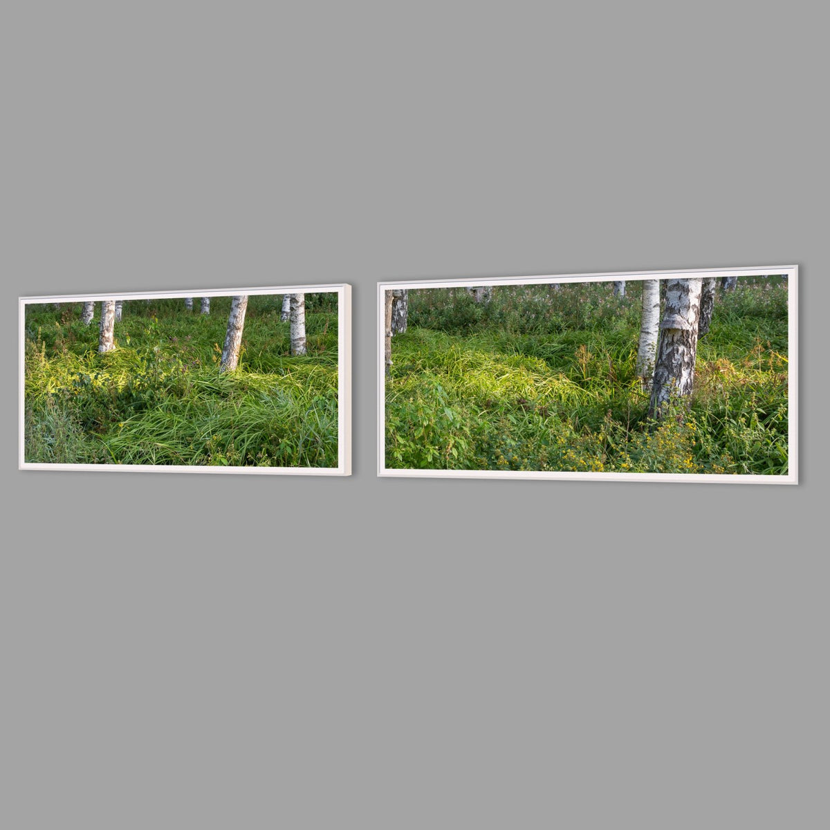 LED-Wandbild Zweiteiler quer mit Abstand – Wald