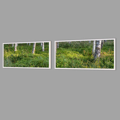 LED-Wandbild Zweiteiler quer mit Abstand – Wald