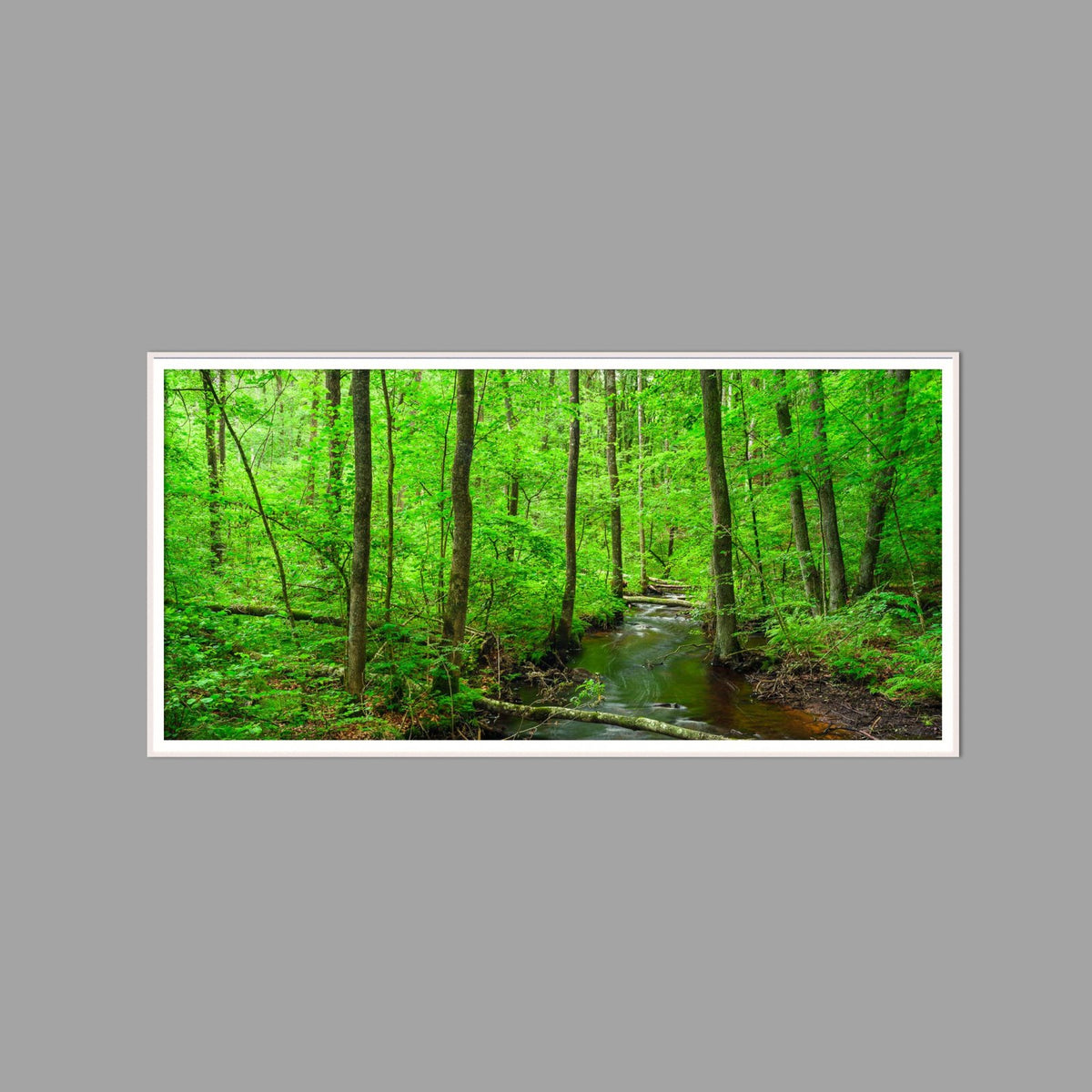 LED-Wandbild 60x120 cm quer – Wald