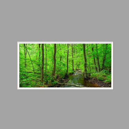 LED-Wandbild 60x120 cm quer – Wald