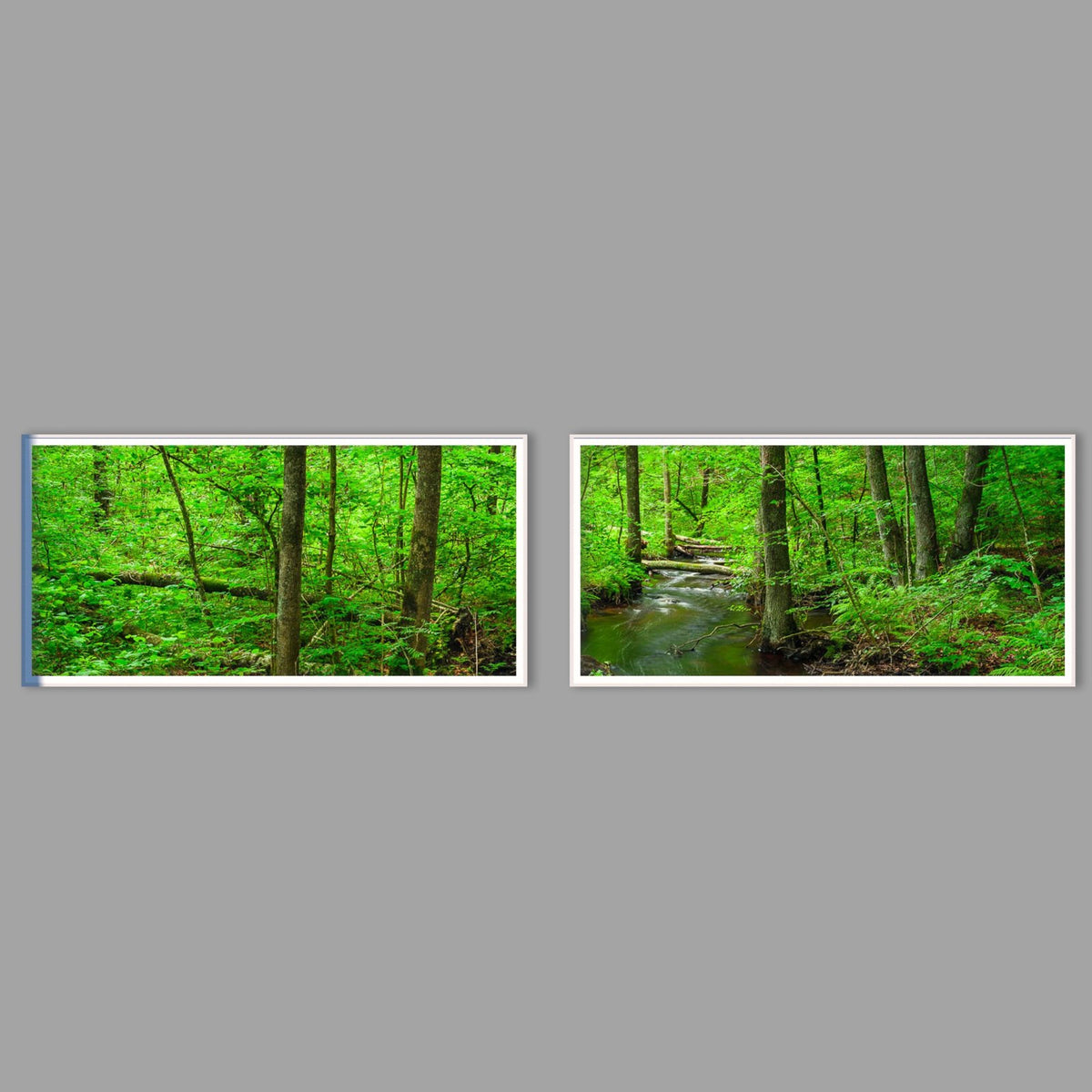 LED-Wandbild Zweiteiler quer mit Abstand – Wald