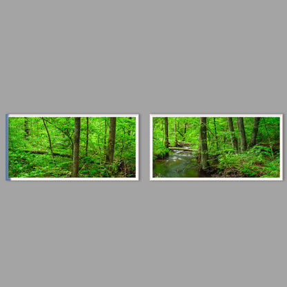 LED-Wandbild Zweiteiler quer mit Abstand – Wald