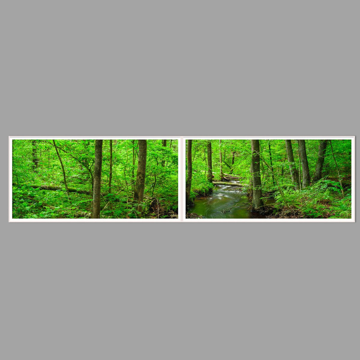 LED-Wandbild Zweiteiler quer 240x60 cm – Wald