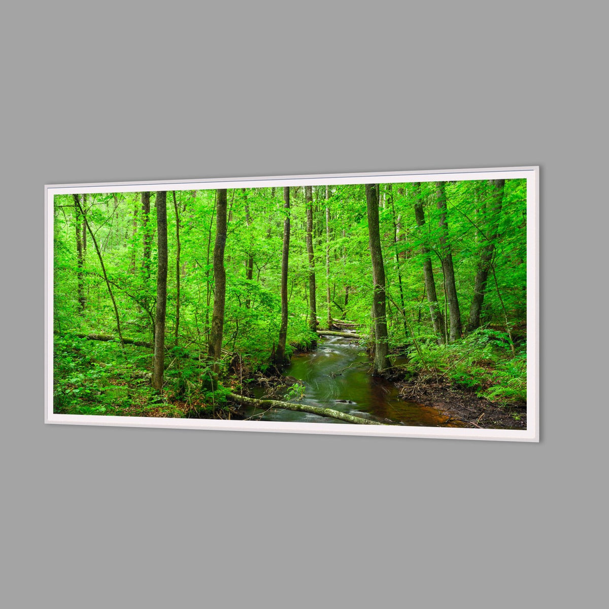 LED-Wandbild 60x120 cm quer – Wald