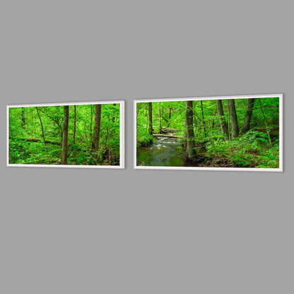 LED-Wandbild Zweiteiler quer mit Abstand – Wald