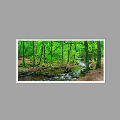 LED-Wandbild 60x120 cm quer – Wald