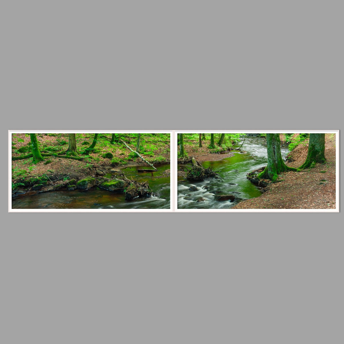 LED-Wandbild Zweiteiler quer 240x60 cm – Wald