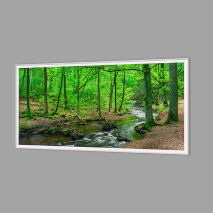 LED-Wandbild 60x120 cm quer – Wald