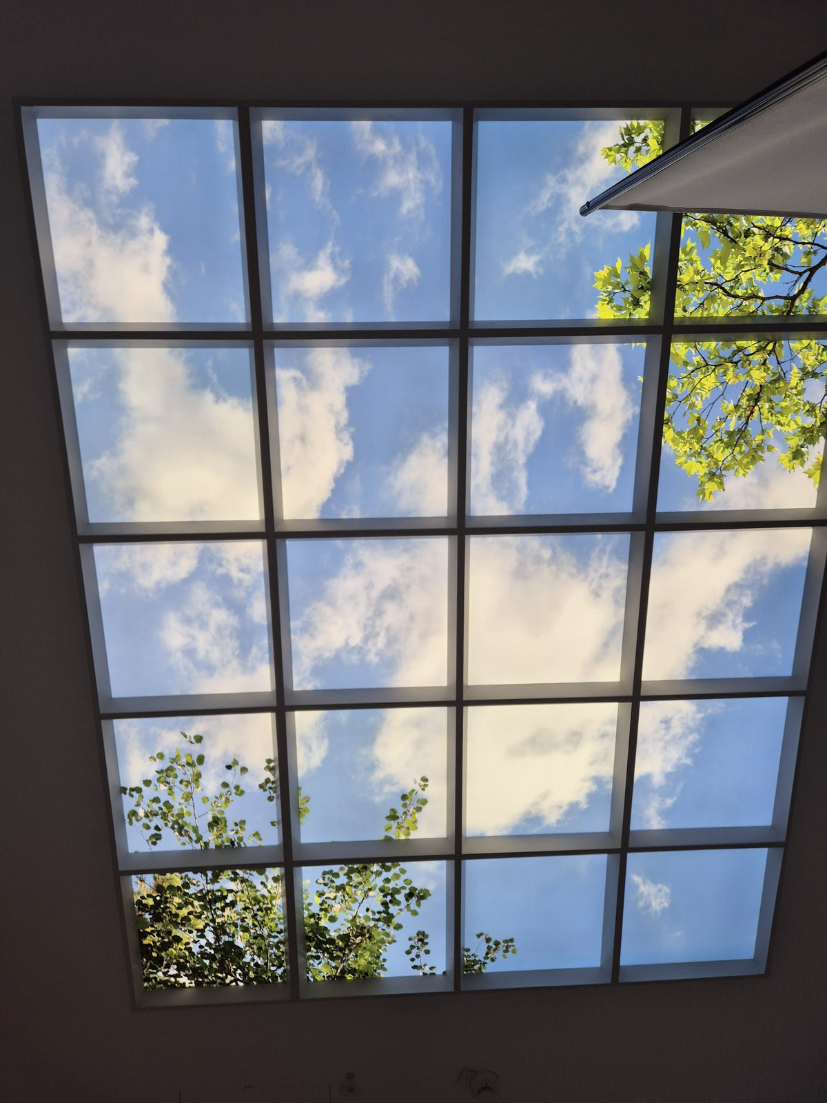 LED Deckenmotiv mit Vertiefungsrahmen – Himmelmotiv mit Wolken und Blättern
