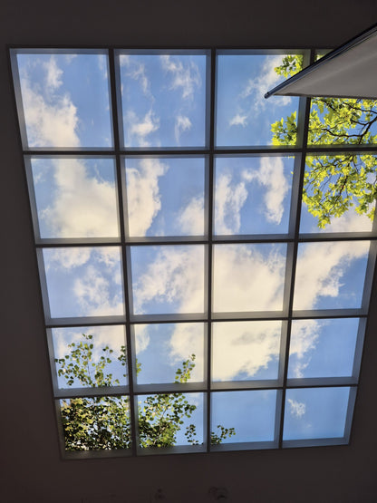 LED Deckenmotiv mit Vertiefungsrahmen – Himmelmotiv mit Wolken und Blättern