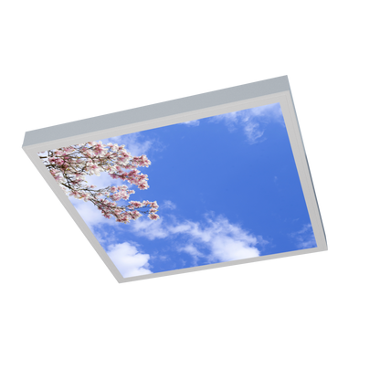 LED Deckenmotiv 62x62cm mit Aufbaurahmen