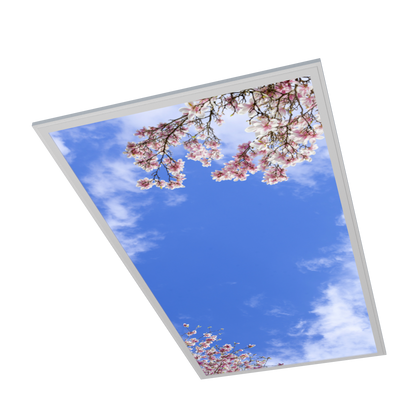 LED Panel 60x120cm mit Motiv Einlegeleuchte