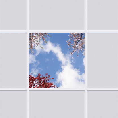 LED Panel 62x62cm mit Motiv Einlegeleuchte