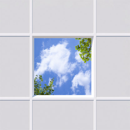 Deckenmotiv 003 Himmel