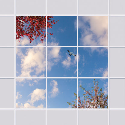 Deckenmotiv 006 Himmel & Bäume