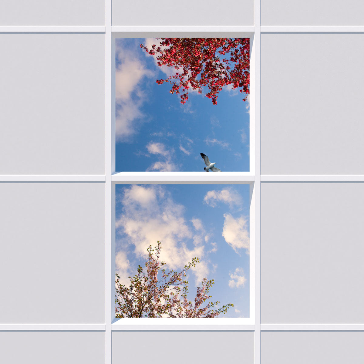 Deckenmotiv 001 Himmel
