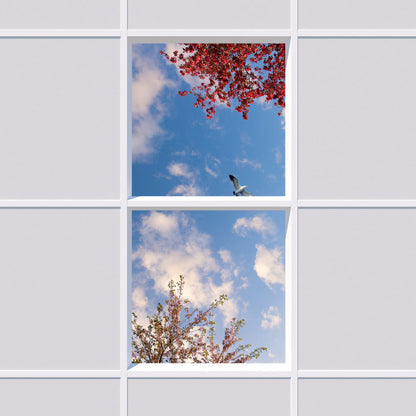 Deckenmotiv 001 Himmel