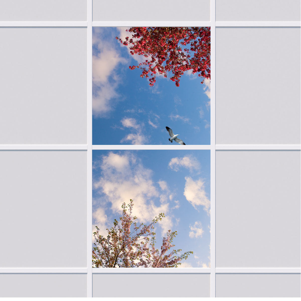 Deckenmotiv 001 Himmel