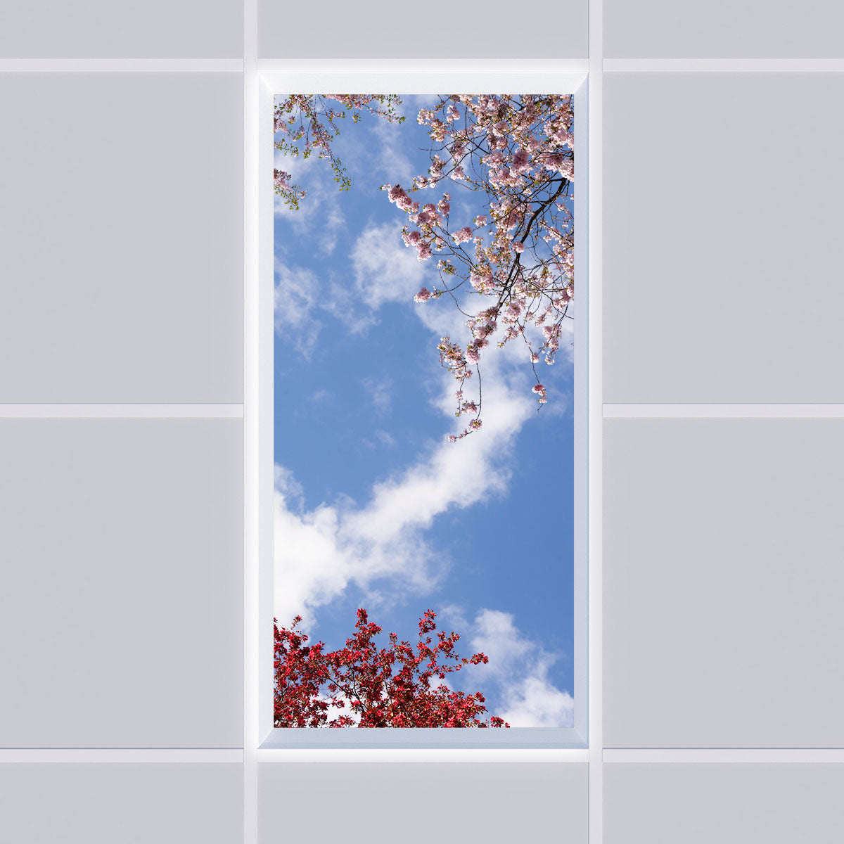 Deckenmotiv 006 Himmel & Bäume