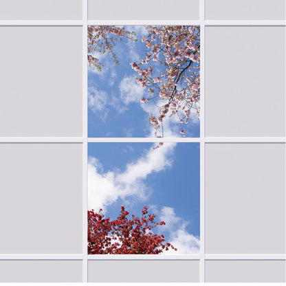 Deckenmotiv 006 Himmel & Bäume