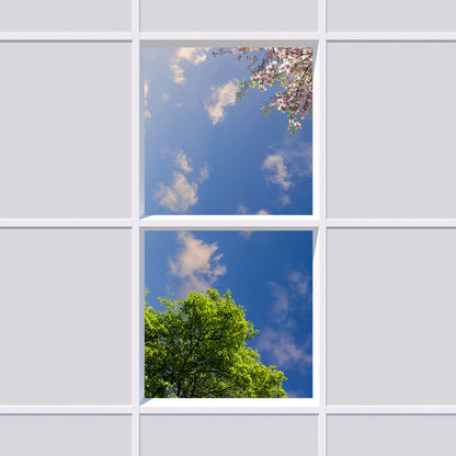 Deckenmotiv 009 Himmel & Bäume