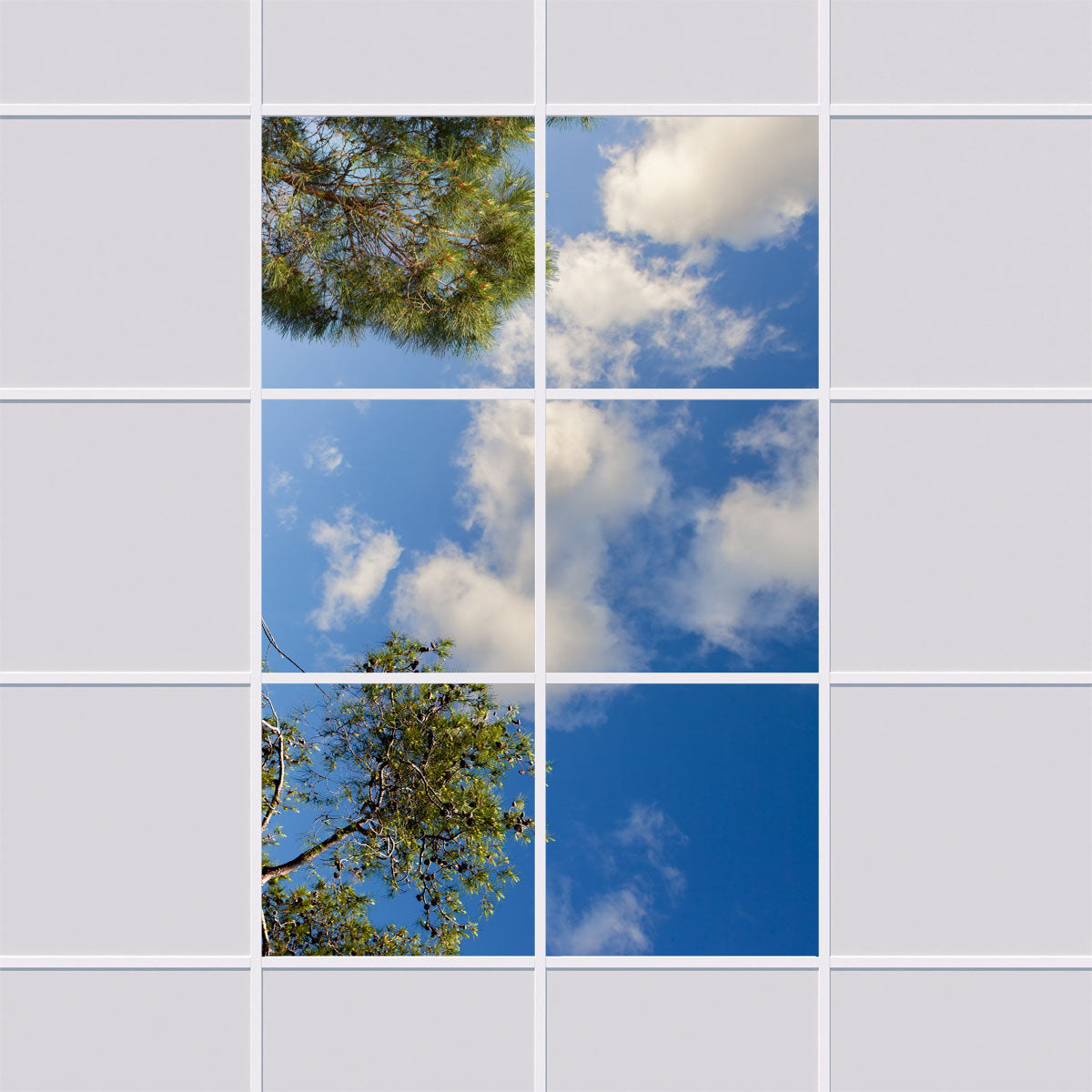 Deckenmotiv 010 Himmel & Bäume