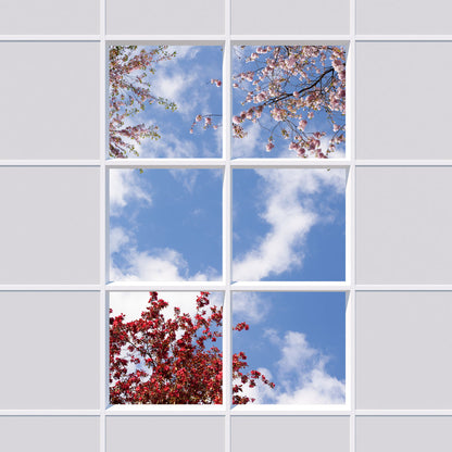 Deckenmotiv 006 Himmel & Bäume