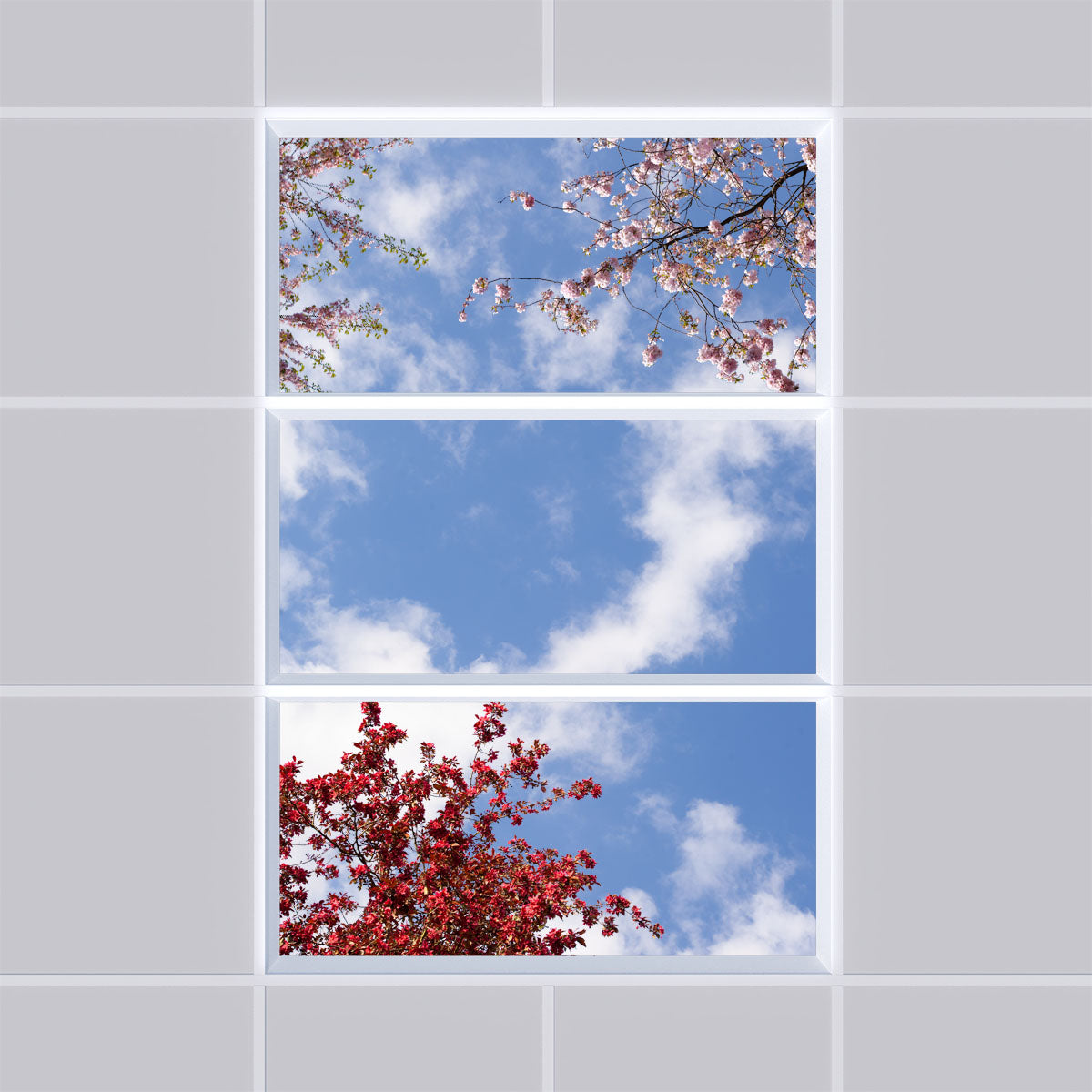 Deckenmotiv 006 Himmel & Bäume