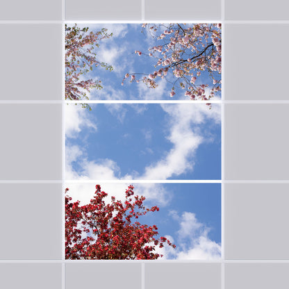 Deckenmotiv 006 Himmel & Bäume
