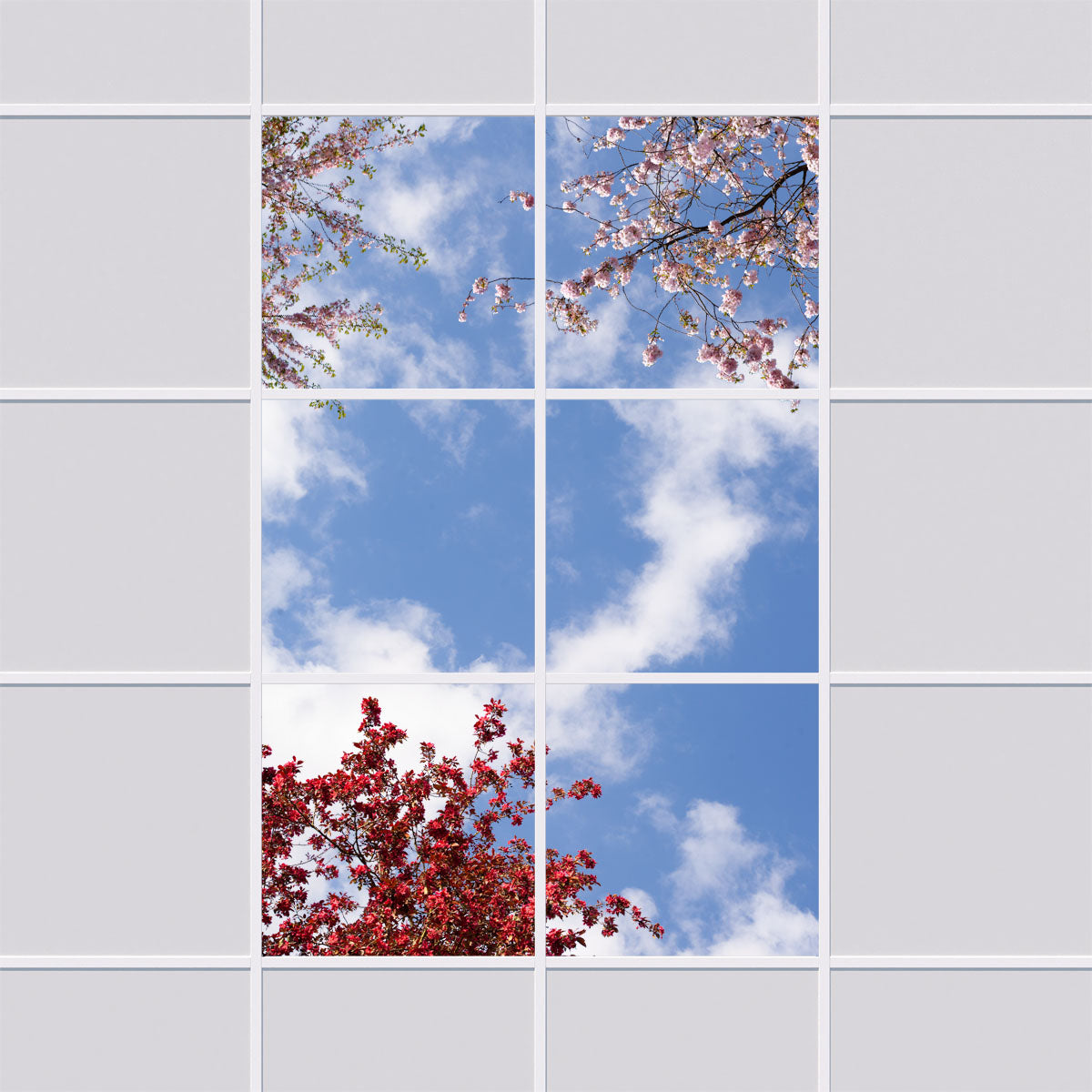 Deckenmotiv 006 Himmel & Bäume