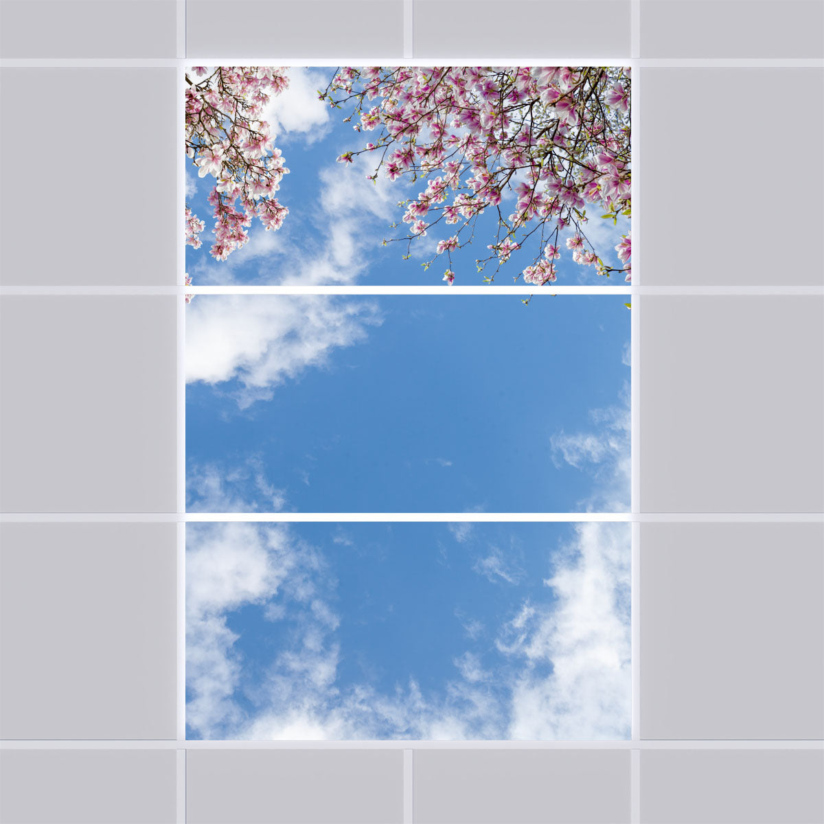 Deckenmotiv 007 Himmel & Bäume