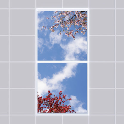 Deckenmotiv 006 Himmel & Bäume