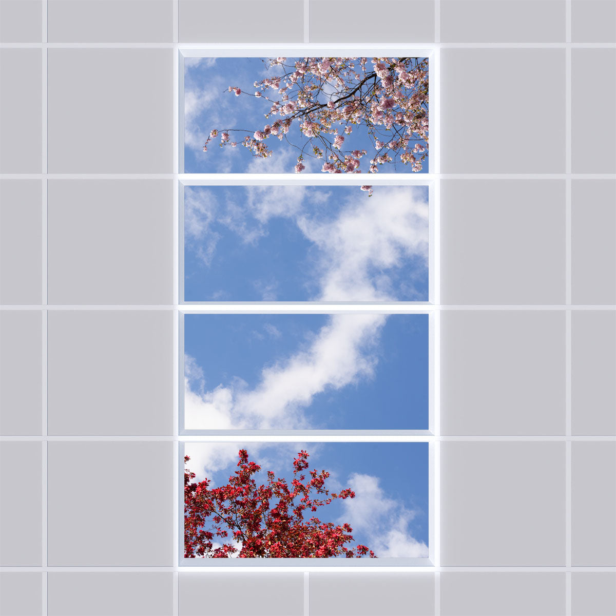 Deckenmotiv 006 Himmel & Bäume