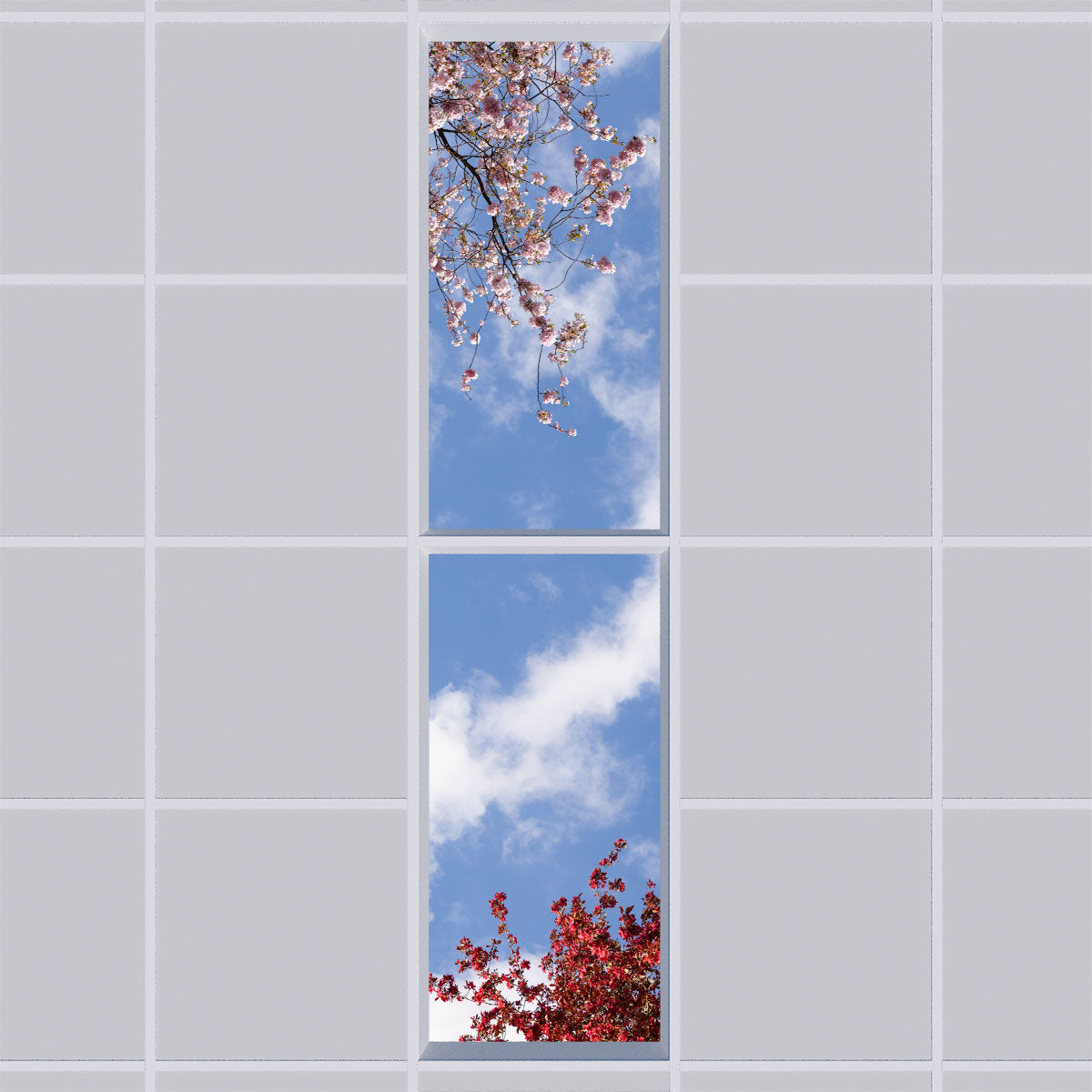 Deckenmotiv 006 Himmel & Bäume
