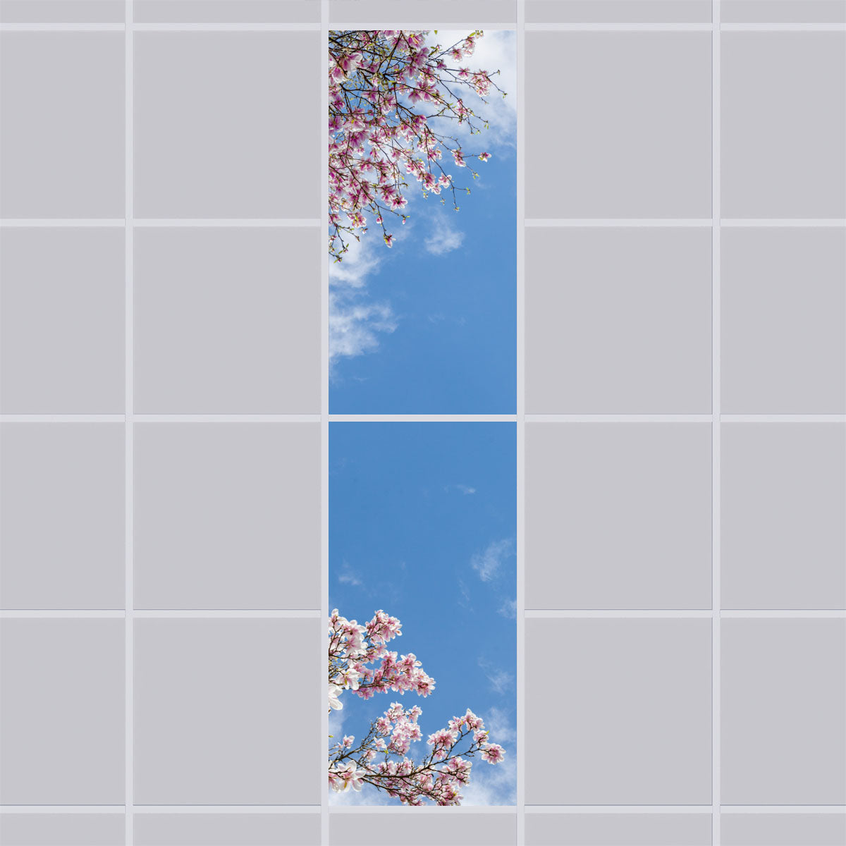 Deckenmotiv 007 Himmel & Bäume