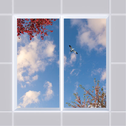Deckenmotiv 001 Himmel
