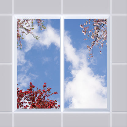 Deckenmotiv 006 Himmel & Bäume