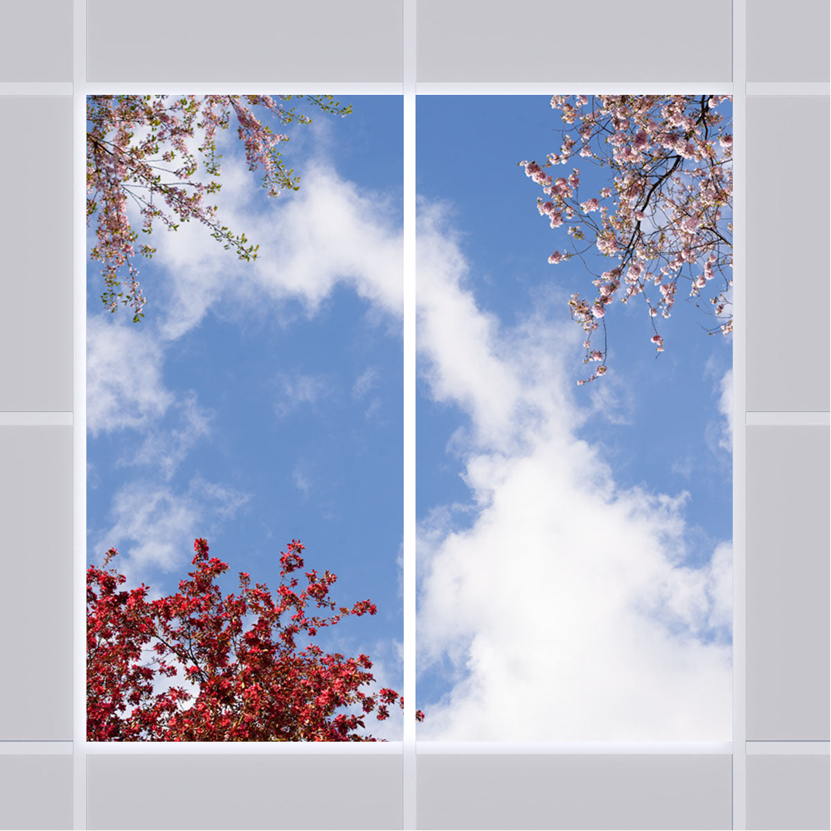 Deckenmotiv 006 Himmel & Bäume