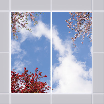 Deckenmotiv 006 Himmel & Bäume