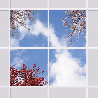 Deckenmotiv 006 Himmel & Bäume