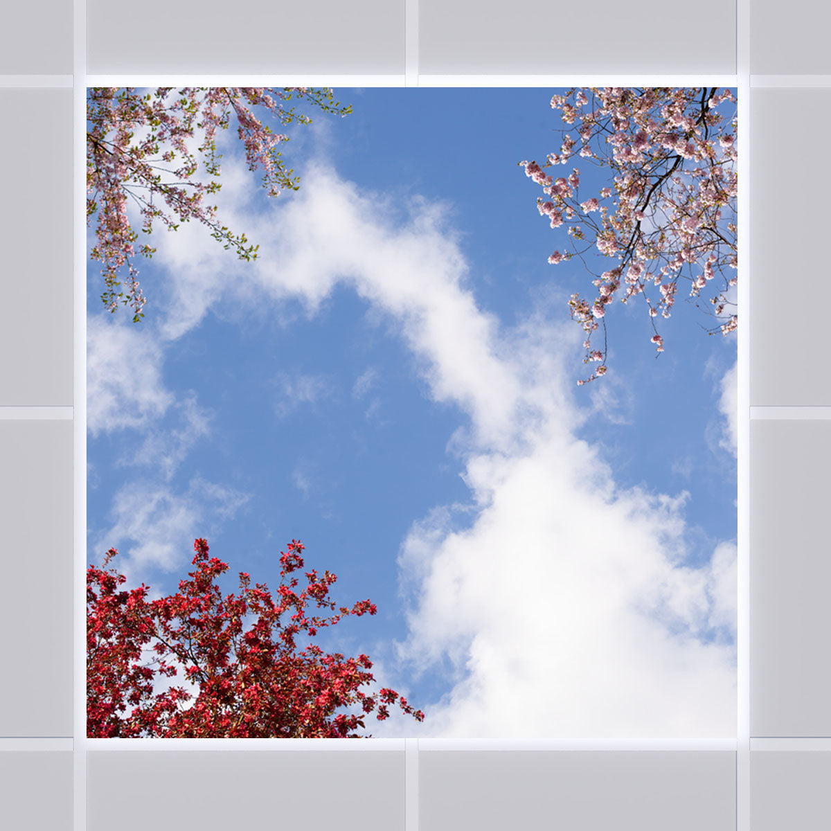 Deckenmotiv 006 Himmel & Bäume