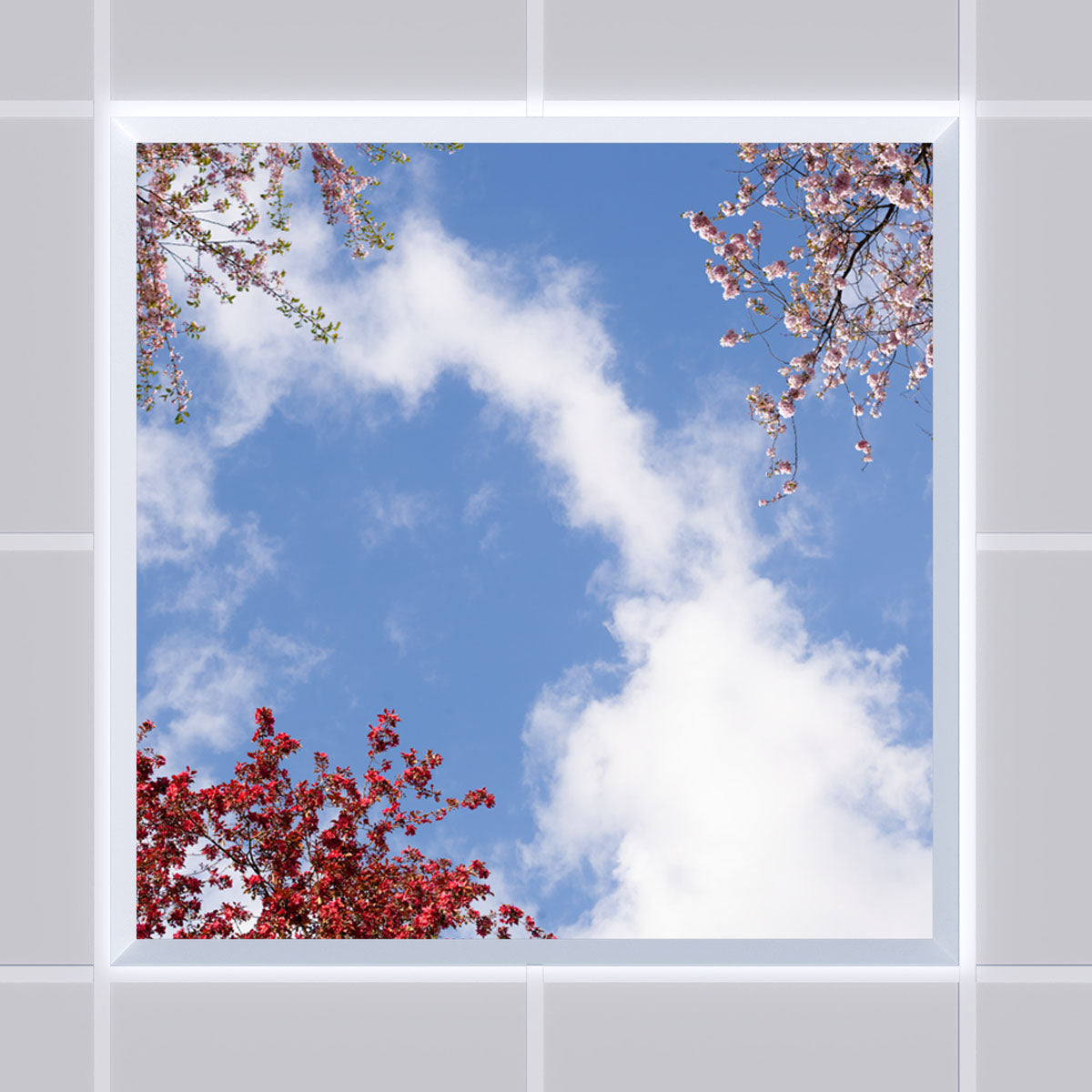 Deckenmotiv 006 Himmel & Bäume